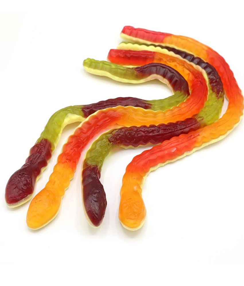 Yellow bellie snakes